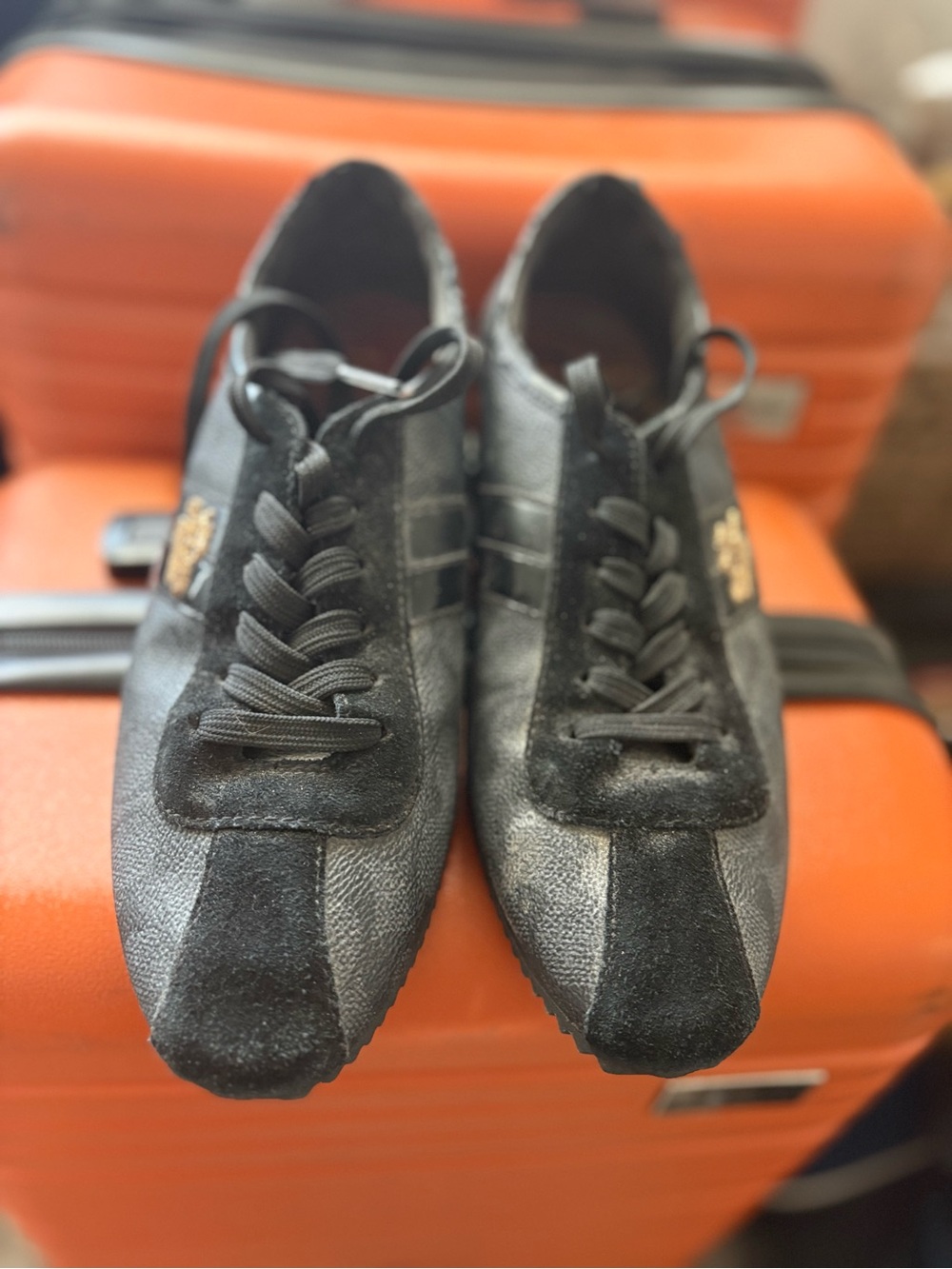 Coach Black Logo-Print Lace-Up Sneakers - Picture 5 of 7